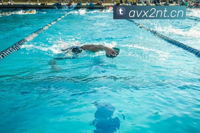 星空网官方网址入口发展历程